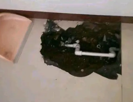 黄南卫生间测漏水多少钱